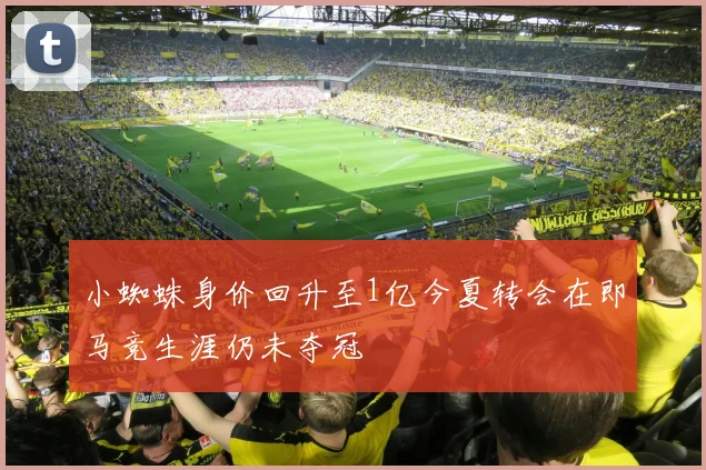 小蜘蛛身价回升至1亿今夏转会在即马竞生涯仍未夺冠